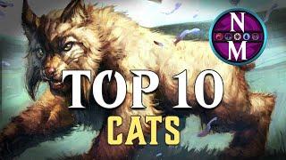 MTG Top 10: Cats