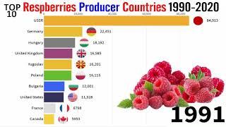 Top Respberries Producer Countries 1990-2020 Top 10 in the World | Top Largest Raspberries Producer