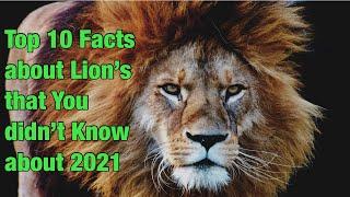Top 10 Facts about Lions 2021