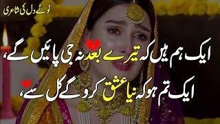 Top Heart Touching 2 Line Poetry | New Sad Urdu Poetry |Hindi Shayari ❣️Toqeer Diary