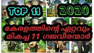 Top 10 elephants in kerala |കേരളത്തിലെ ഏറ്റവും മികച്ച 10 ആനകൾ|HD quality video.