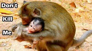 Anna B I T Alba No Reason | Alba Cries Loudly Hurt On Head,Anna So Bad Mum In Monkey Motherhood