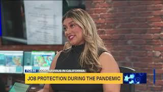 Job Protection During the Pandemic