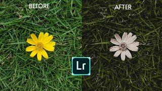 Lightroom tutorial 