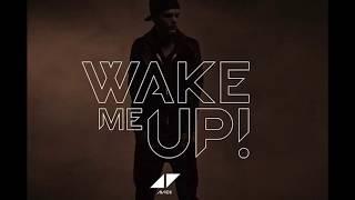 Avicii Top 10 songs form dbGaming