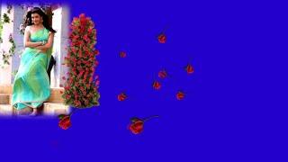 Bewafa- green screen- Effects- Ambulance- top10- background- HD video #19
& rose flowers
