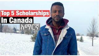 Top 5 Scholarship for International Students in Canada