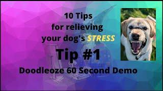 Stressed dogs - 10 tips to relieve your dog's stress - Doodleoze Tutorial