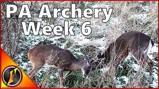 One Last Opportunity for an Archery Buck | PA Archery Week 6