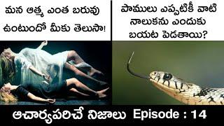 Top 10 interesting facts telugu badi || top 10 facts in telugu || Telugu facts || vr facts  Ep-14