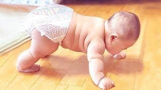 Top Cutest Chubby Babies - Chubby Baby Video