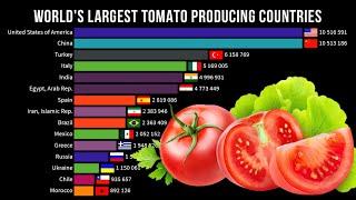Tomato Production By Country 1961-2018 | Top Tomato Producing Countries 2020 | Data Visualization