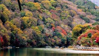 Arashiyama In Autumn | Kyoto Japan