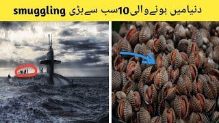 Word's biggest top 10 smugglings, You don't know in Urdu/Hindi  دنیامیں ہونےوالی10 بڑی Smuggling