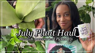 July Plant Haul | Plants & Accessories I Picked Up | JerseyWifeJerseyLife