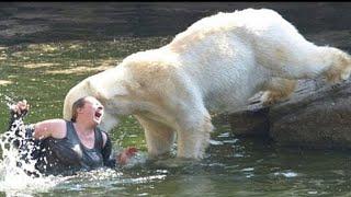 TOP 10 PEOPLE WHO FELL INTO ANIMAL ENCLOSURES AT ZOOS!