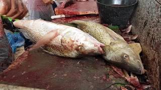 $200 Fish Fillet by Knife।Golden Fish Fillet by Knife।Professional Fish Cutting Skills।Cutting Fish