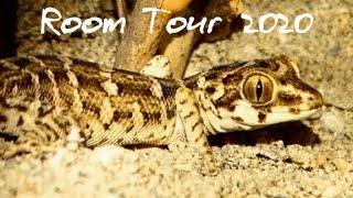 Room Tour REPTILES 2020 (Dimitri)