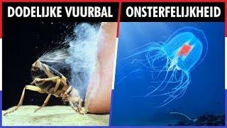 TOP 10 DIEREN MET SUPERKRACHTEN!