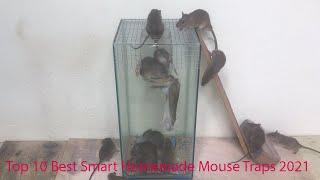 Top 10 Best Smart Homemade Mouse Traps 2021 | The Whole group of Rats were locked for 1Hour