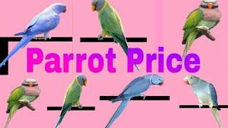 Top 10 breeds of parrots and price name