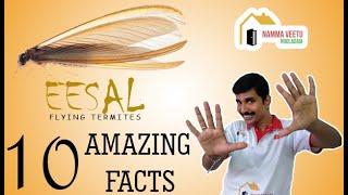 Top 10 Facts abt Eesal | Tamil | Namma Veetu Noolagam | Ashok kumar