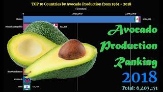 Avocado Production Ranking | TOP 10 Country from 1961 to 2018