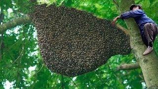 10 AMAZING Things You Have NEVER Seen Before!