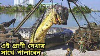 দেখুন পৃথিবীতে পাওয়া 10 টি বৃহত্তম প্রাণী || Top 10 Biggest animals on Earth