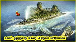 உலகை மிரளவைத்த பிரமாண்டமான 10 உயிரினங்கள் | Top 10 Biggest Animals