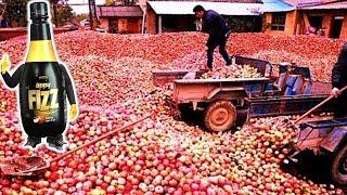 देखिये Factory में कैसे बनाया जाता है Apple Juice (Fizz) || 10 Advance Food Manufacturing  Machines