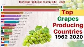 Top Grape Producing Country 1962-2020 | Grape Producing