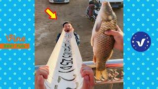 New Funny Videos 2020 ● People doing stupid things P105