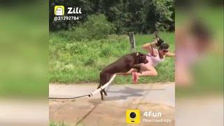 ZILLI TOP FUNNY VIDEOS | funny fails video 2020 Try not to laugh