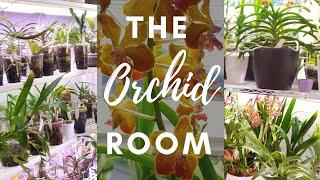 My Top 10 Orchid Supplies & Equipment + Grow Room Tour! #TheOrchidArsenalTag