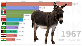 Top 10 Asses | Donkey Stocks (head) Countries from 1961 | FAO DATA