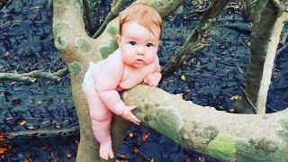 Top Funny Babies Playing Outdoor  -  Baby Outdoor Video