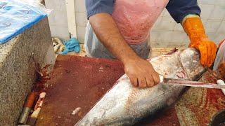 Giant Tuna Fish Fillet by 5 Minute।Fastest Bluefin Tuna Cutting Skills।Fish Cutting Live Performance