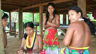 Top 10 Indian Forest Tourist Place & Amazon rainforest /Jungle ke Aadivasi/Amazon Forest Tribe