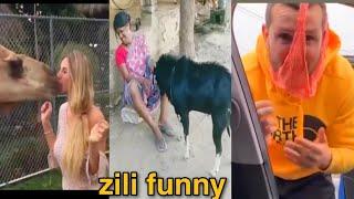 Must zili new funny videos 