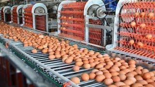 TOP 10 Food Industry Machines That Are At Another Level