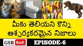 Top 15 Interesting and Unknown facts in Telugu | Episode-6 | Gsr | Latest fact videos of Telugu badi