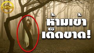 10 ป่าสุดหลอนและน่าสะพรึงกลัวที่สุดในโลก (เตือนแล้วนะ)