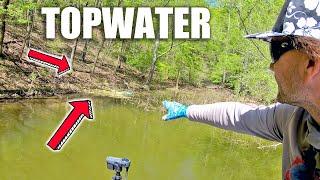 You've NEVER Fished a TOPWATER Lure Like THIS!!!