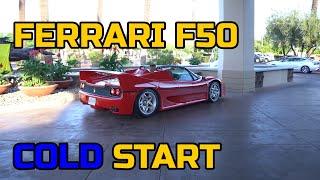 Ferrari F50 COLD START, RALLY with my 80 YEAR OLD FATHER?!