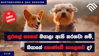 Pets and Hair Loss | Best Hair Clinic In Sri Lanka | Top Service | Hair Loss Treatment 2022