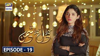 Mera Dil Mera Dushman Episode 19 | 16th March 2020 | ARY Digital Drama