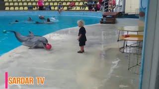 TOP FUNNY VIDEOS KIDS & ANIMALS ! 2020