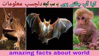 Top 10 world amazing information.dilchisp malomat jis sa ap yakenan na wakif hongy.interested facts