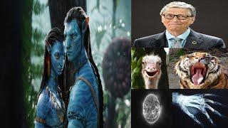 Top 10 Information (Bill Gates, Avatar Movie, Indo-Pak War 1971, The Sun Color, Nepal, Bhutan, etc.)